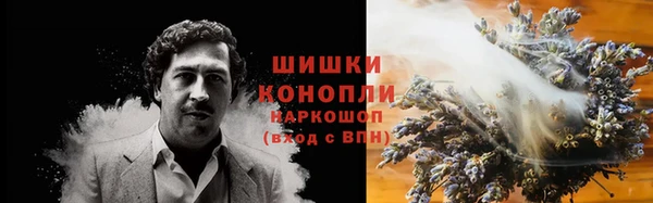 MESCALINE Лабытнанги