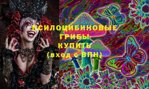 стаф Ладушкин