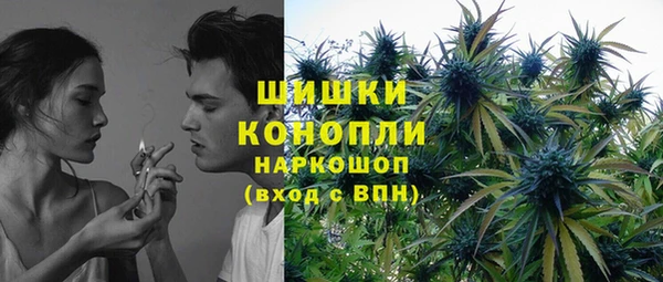стаф Ладушкин