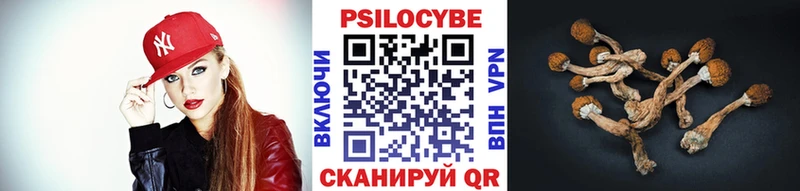 Купить закладки  Цимлянск  Псилоцибиновые грибы GOLDEN TEACHER 