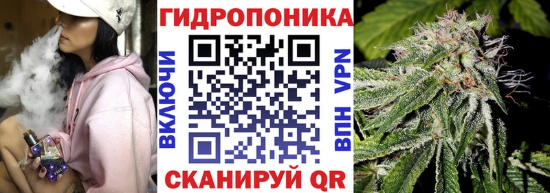Конопля планчик  Купить закладки  Цимлянск 